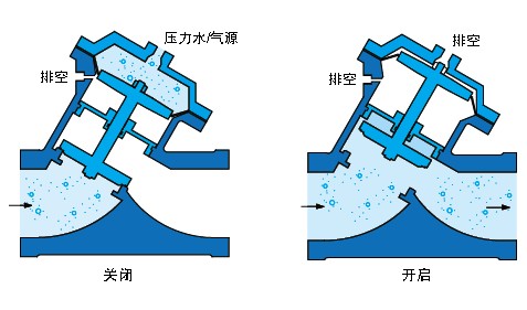 今晚十二生肖开什么号码开奖8月28