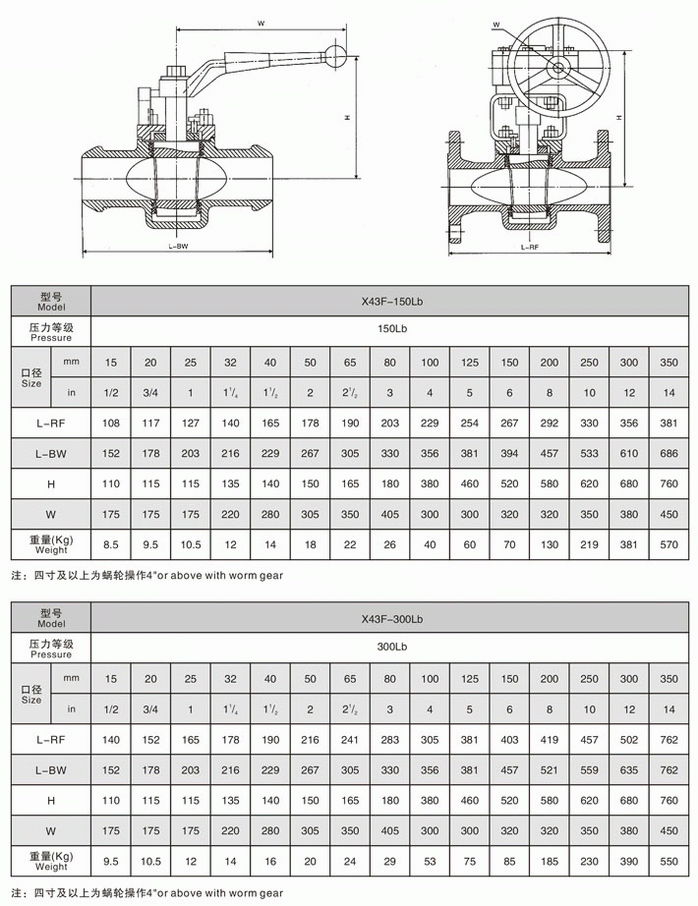 今晚十二生肖开什么号码开奖8月28