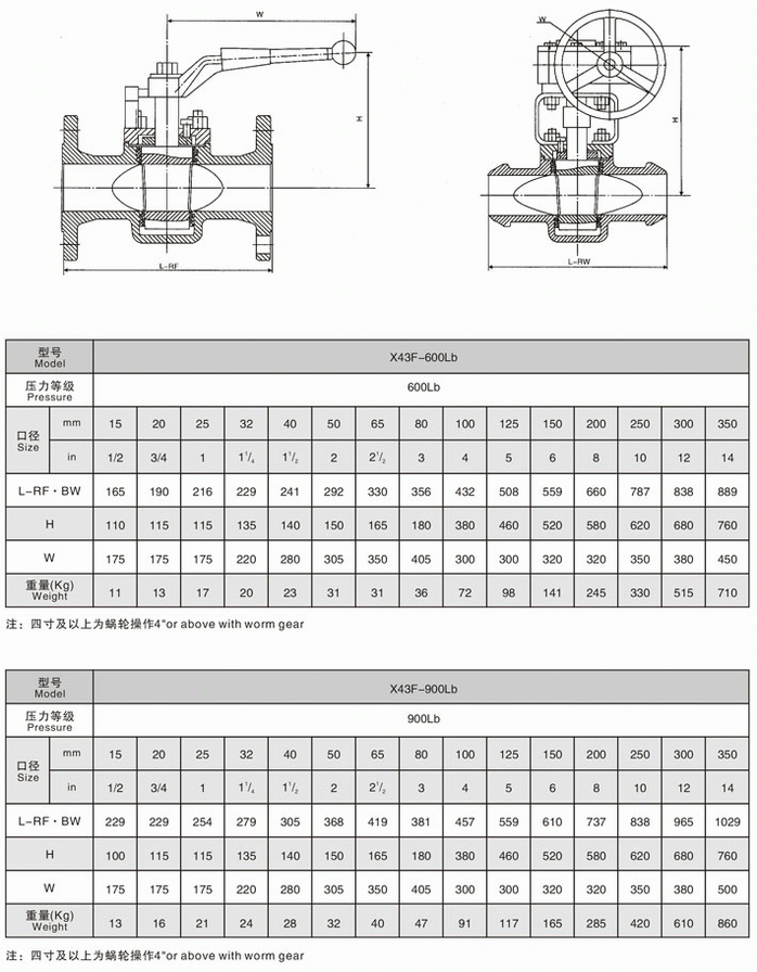 今晚十二生肖开什么号码开奖8月28