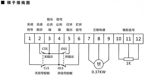 今晚十二生肖开什么号码开奖8月28